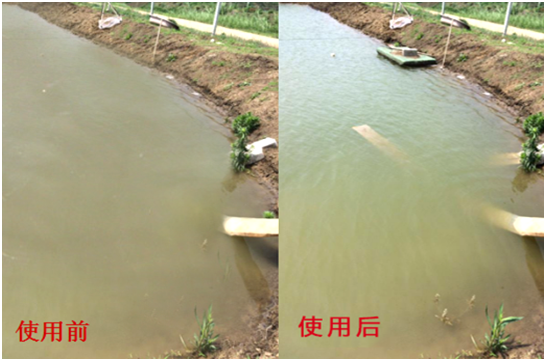 渾濁水、對(duì)蝦吃料差怎么處理？